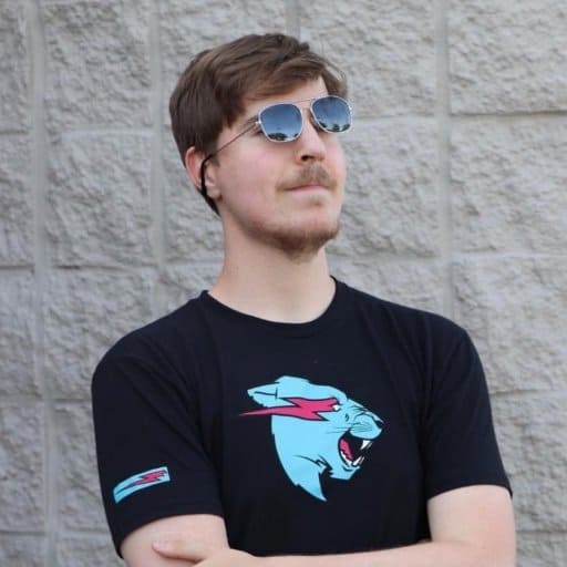 Mr Beast Wiki, Net Worth, Age, Height, Girlfriend, Family And Biography