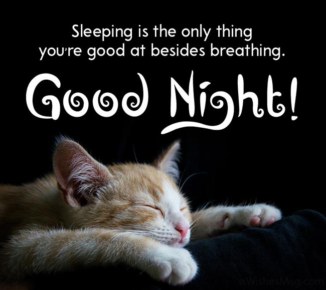 70+ Funny Good Night Messages and Wishes WishesMsg