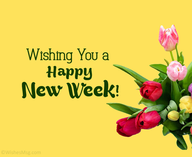 140+ Happy New Week Wishes, Prayer and Messages WishesMsg