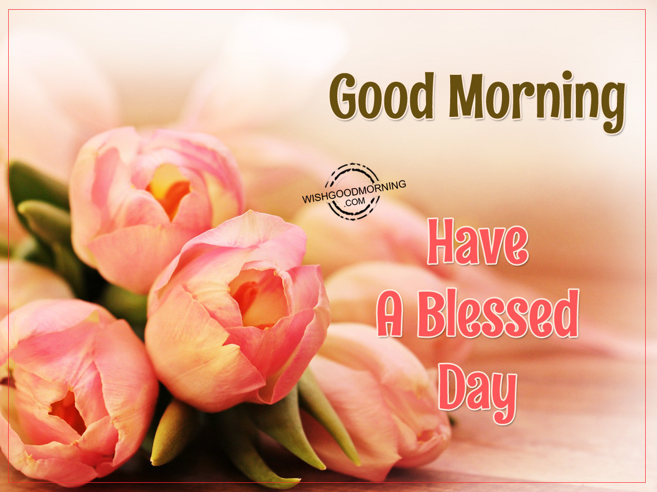 Good Morning Wishes Good Morning Pictures