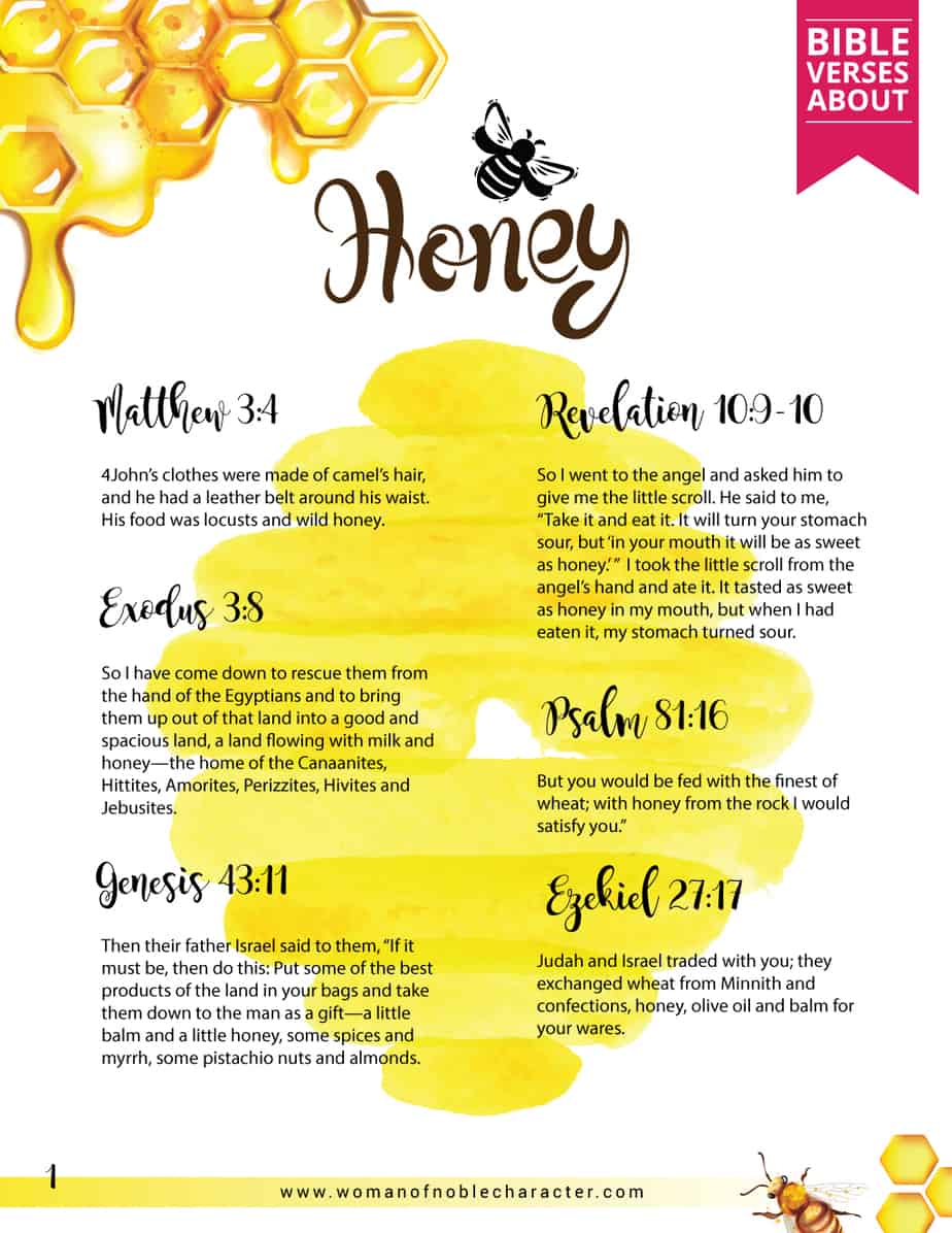 Fascinating Uses And Symbolism Of Honey In The Bible