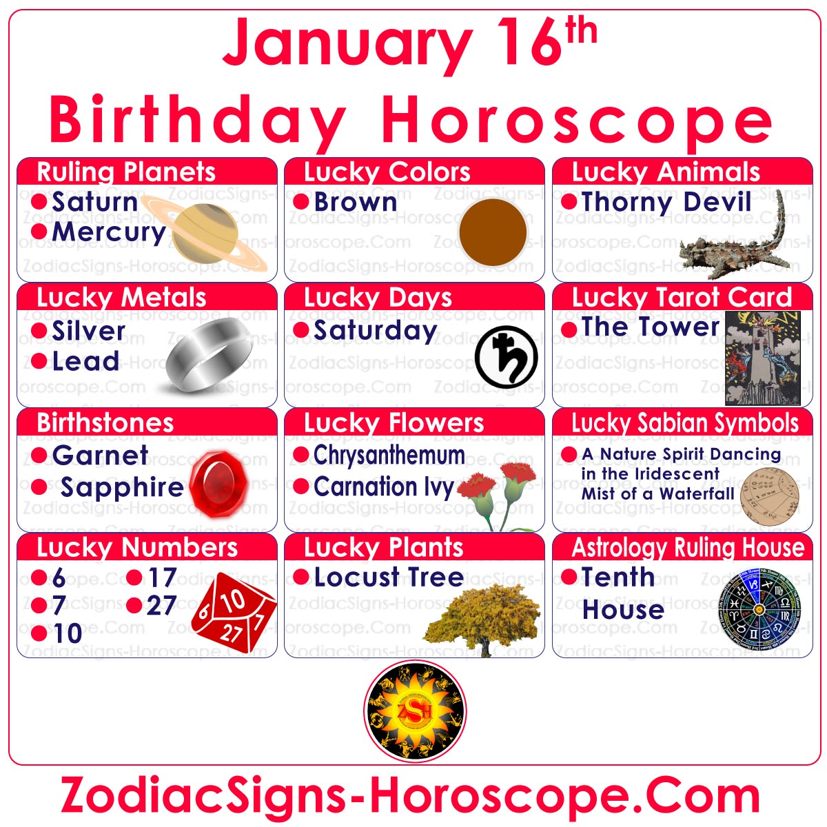 January 16 Zodiac (Capricorn) Horoscope Birthday Personality and Lucky