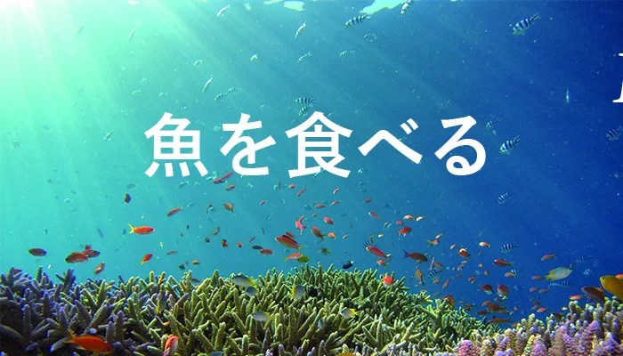 夢占い 魚の卵の夢は運気向上のサイン 夢占いと夢診断で徹底解説 ゆるスピ 夢占い 魚の卵の夢は運気向上のサイン 夢占いと夢診断で徹底解説 ゆるスピ