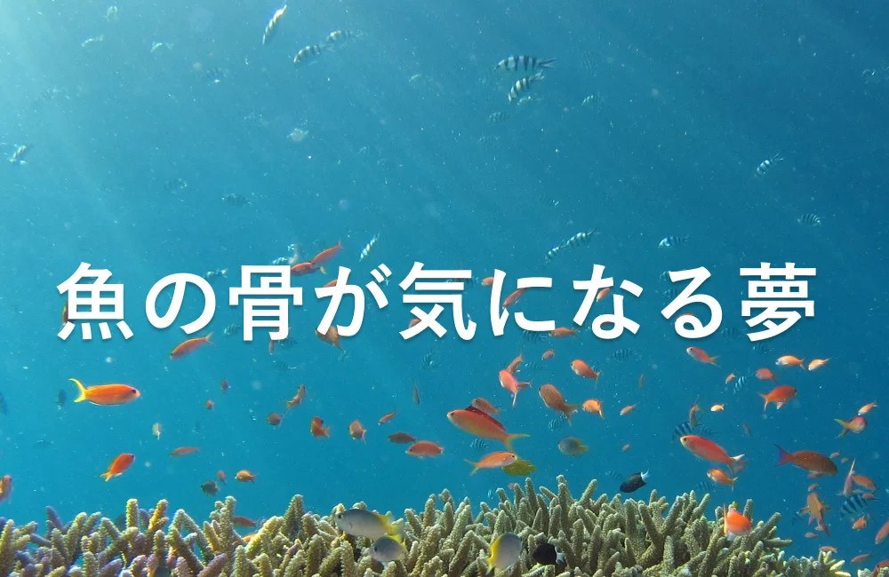 夢占い 魚の卵の夢は運気向上のサイン 夢占いと夢診断で徹底解説 ゆるスピ 夢占い 魚の卵の夢は運気向上のサイン 夢占いと夢診断で徹底解説 ゆるスピ
