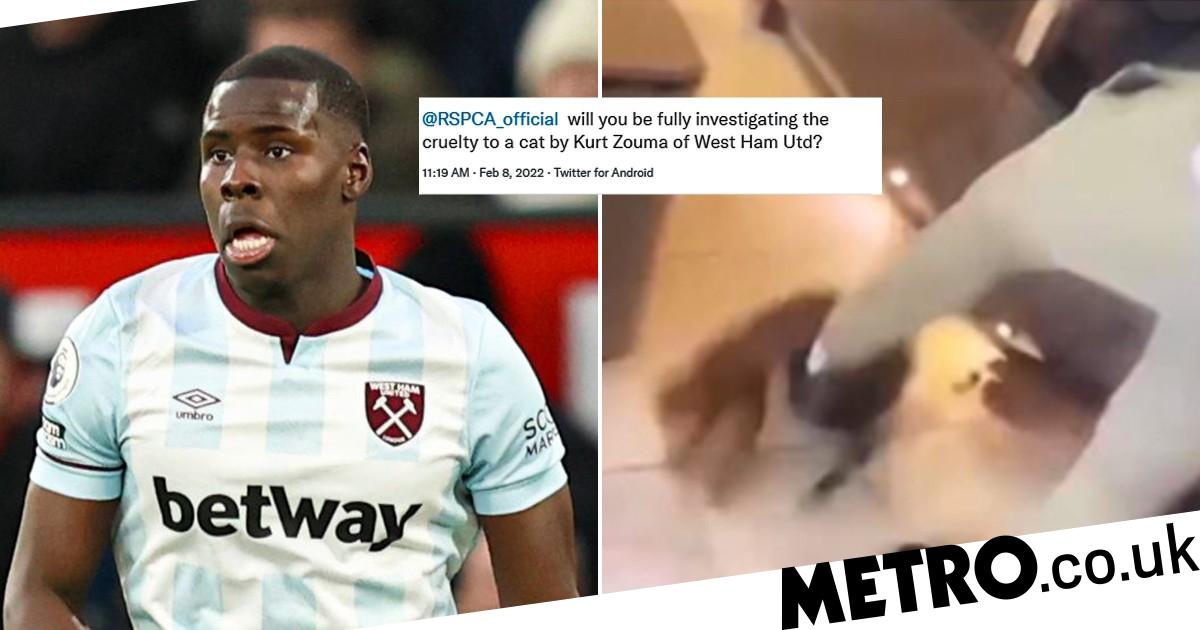 Thousands Sign Petition Urging Rspca Take Action Over Kurt Zouma Kicking Cat The Anand Market