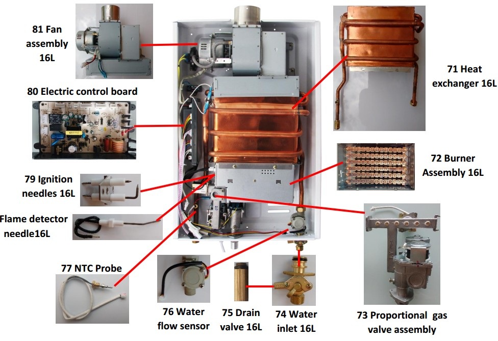 Various Capacity Option Force Exhaust Type Tankless Gas Water