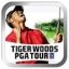 Tiger Woods PGA Tour 08 Windows