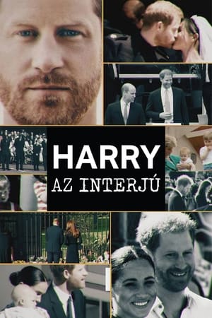 Image Harry − Az interjú
