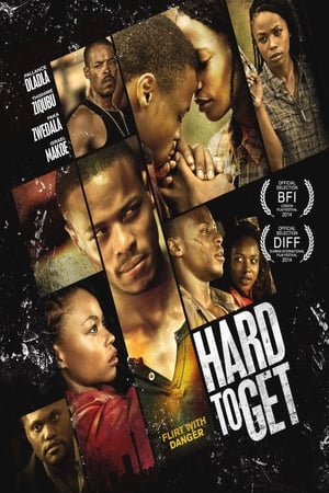 Poster Hard to Get 2014