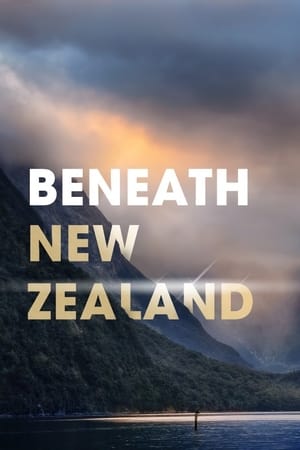 Poster Beneath New Zealand 2016