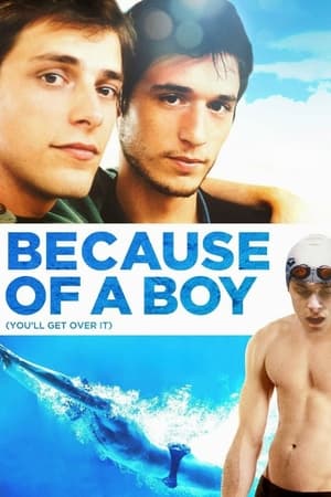 Poster Because of a Boy 2002
