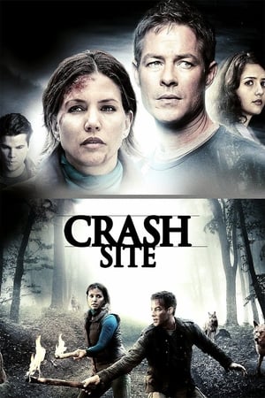 Poster Crash Site 2011