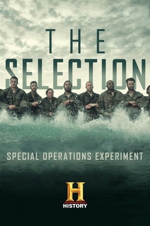 Image The Selection: Special Operations Experiment
