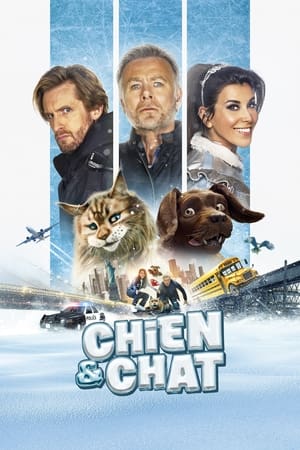 Poster Chien et Chat 2024