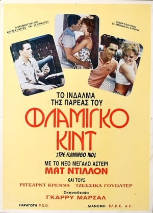 Poster The Flamingo Kid 1984