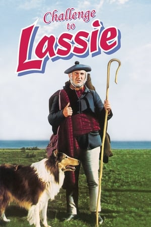 Image Il ritorno di Lassie