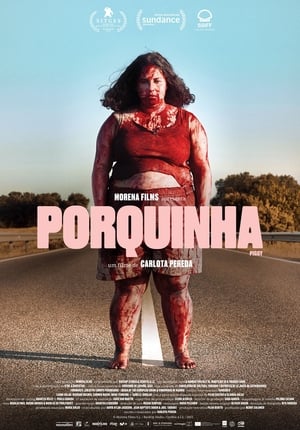 Poster Porquinha 2022