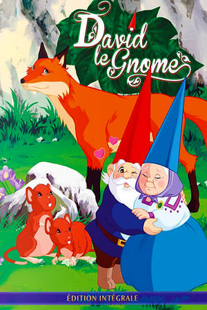 Poster David le Gnome 1985
