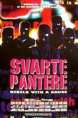 Poster Svarte pantere 1992