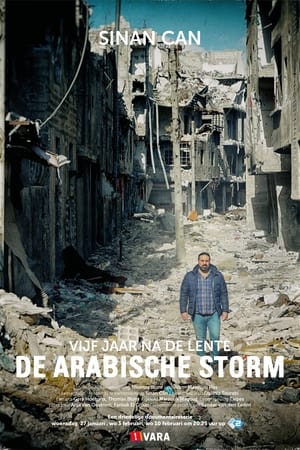 Image De Arabische Storm