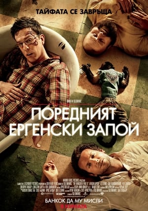 Poster Поредният ергенски запой 2011