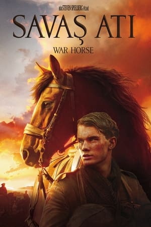 Poster Savaş Atı 2011