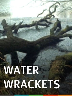 Poster Water Wrackets 1975
