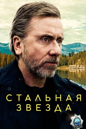 Poster Стальная звезда 2017
