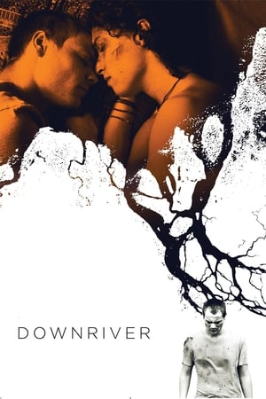 Poster Downriver 2015