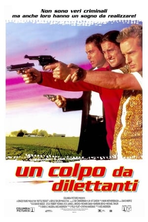 Poster Un colpo da dilettanti 1996