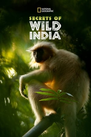 Poster Secrets of Wild India Season 1 Tiger Jungles 2012