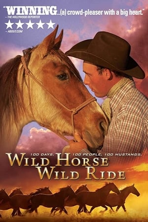 Poster Wild Horse, Wild Ride 2012