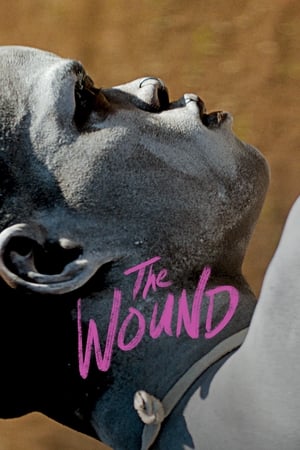 Poster The Wound 2017