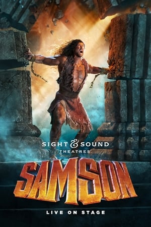 Poster Samson 2017