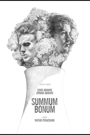 Poster Summum Bonum 2014