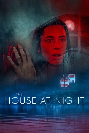 Poster The House at Night 2021