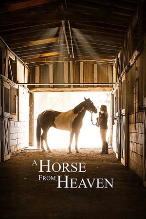 Poster A Horse from Heaven 2018