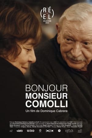 Poster Bonjour Monsieur Comolli 2023