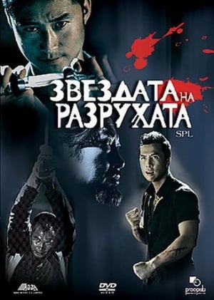 Poster Звездата на разрухата 2005