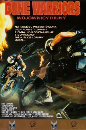 Poster Wojownicy z wydm 1991