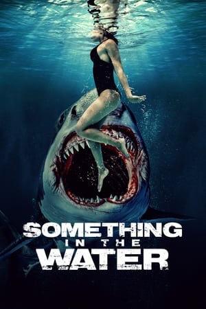Poster Something in the Water 2024