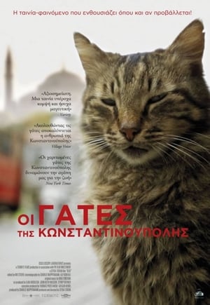 Poster Οι Γάτες της Κωνσταντινούπολης 2017