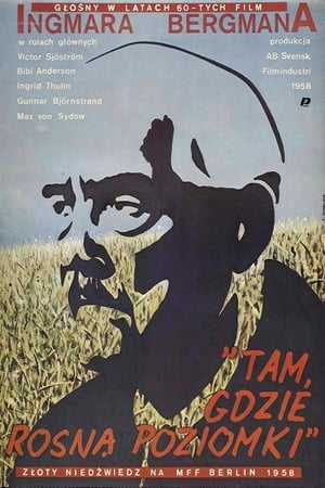 Poster Tam, gdzie rosną poziomki 1957