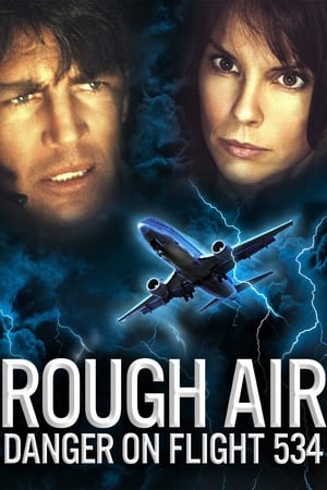 Image Rough Air: Danger on Flight 534