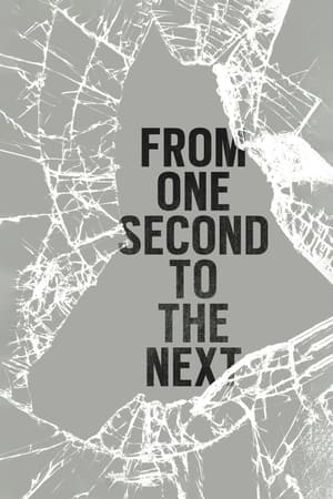 Poster From One Second to the Next 2013