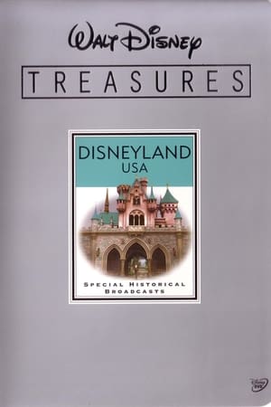 Poster Walt Disney Treasures - Disneyland USA 2001