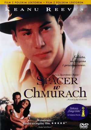 Poster Spacer w chmurach 1995