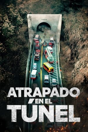 Poster Atrapado en el túnel 2016