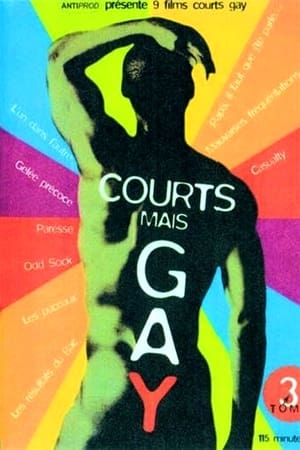 Poster Courts mais Gay : Tome 3 2002