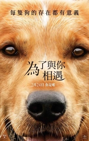 Poster 一条狗的使命 2017